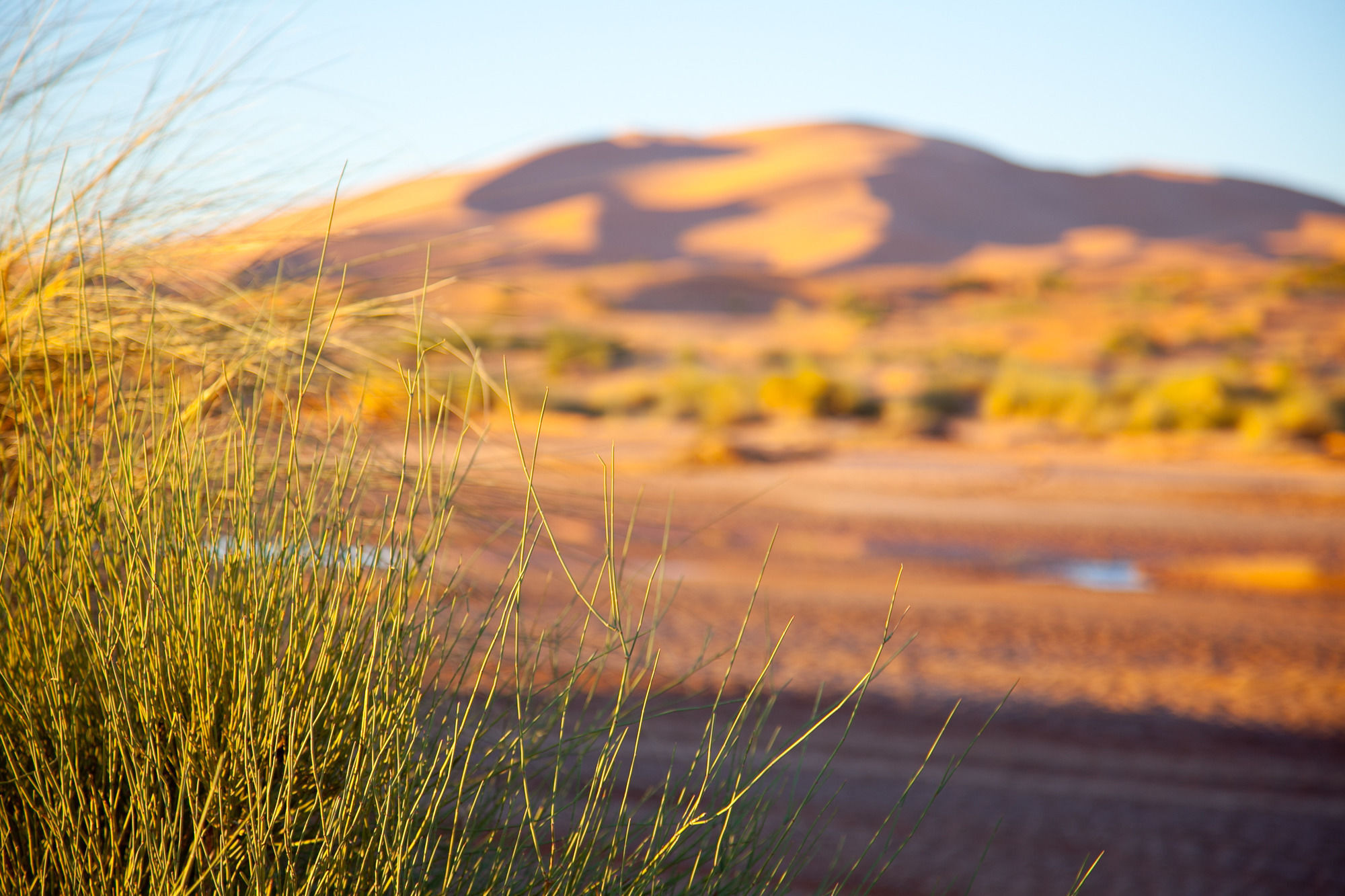 Kam Kam Dunes Мерзуга Экстерьер фото
